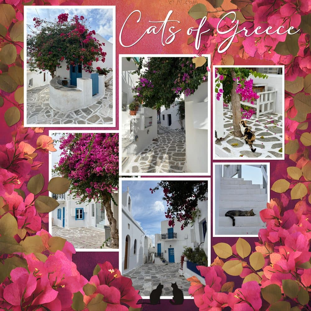 Cats of Greece scrapbook page made in MyScrapBook Studio